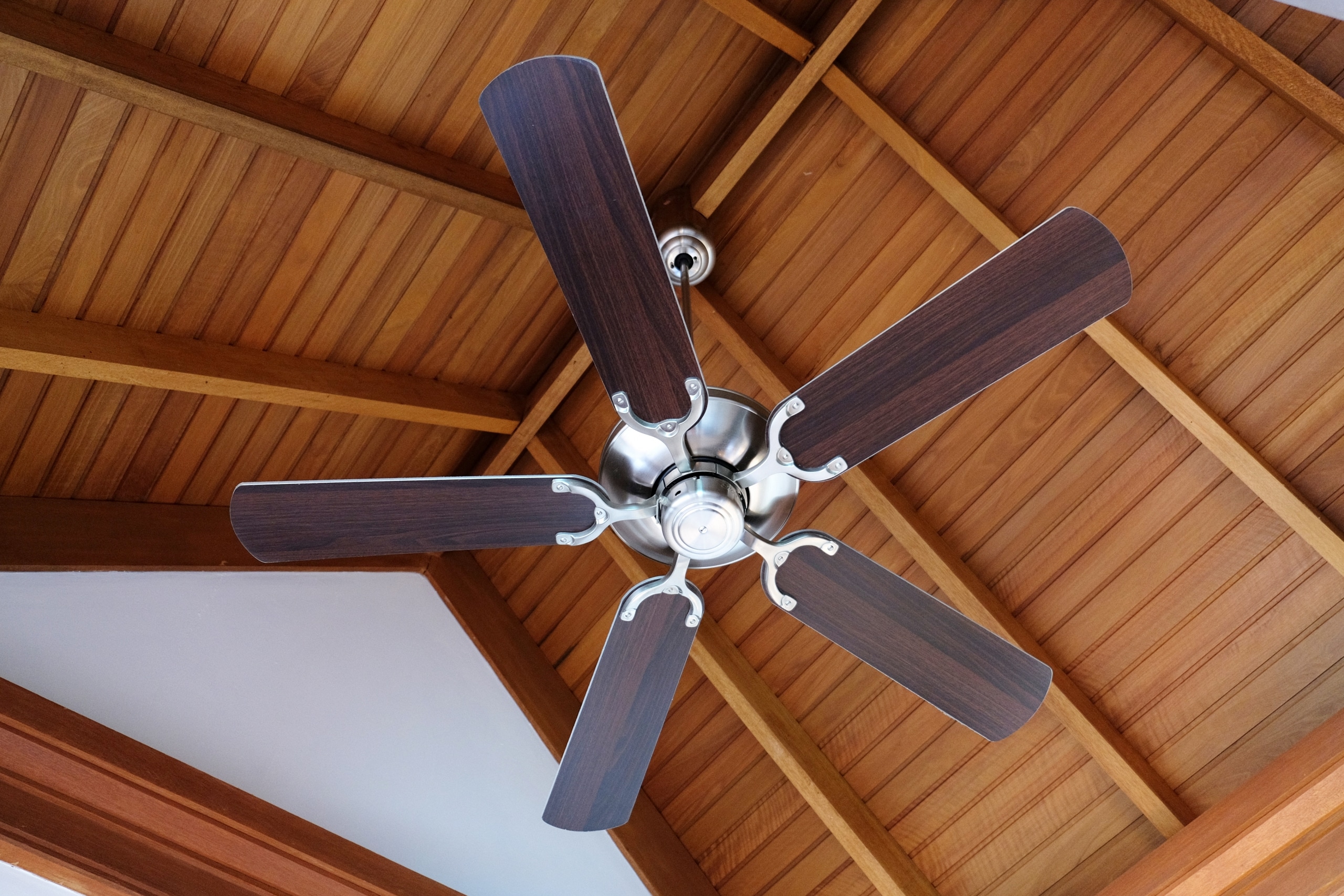 Bigstock Ceiling Fan Indoors 96014309 1 3