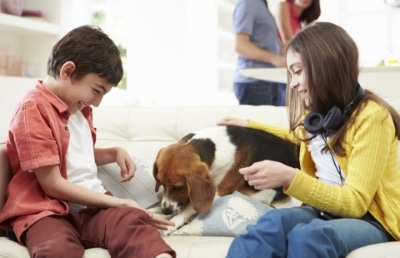 Family With Pet In Livingroom