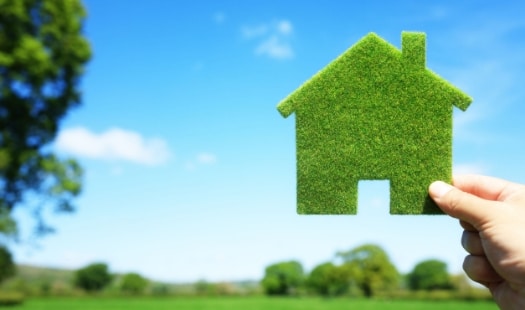 Green Home Purification